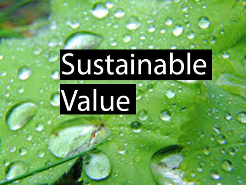 How to measure the business value of sustainable development